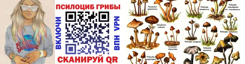 Псилоцибиновые грибы прущие грибы Верхнеуральск