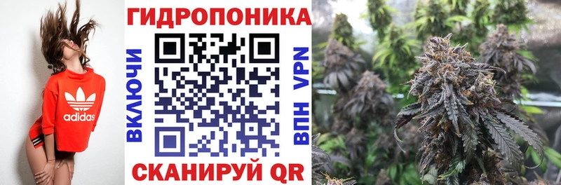 Марихуана Amnesia  мега онион  Верхнеуральск 